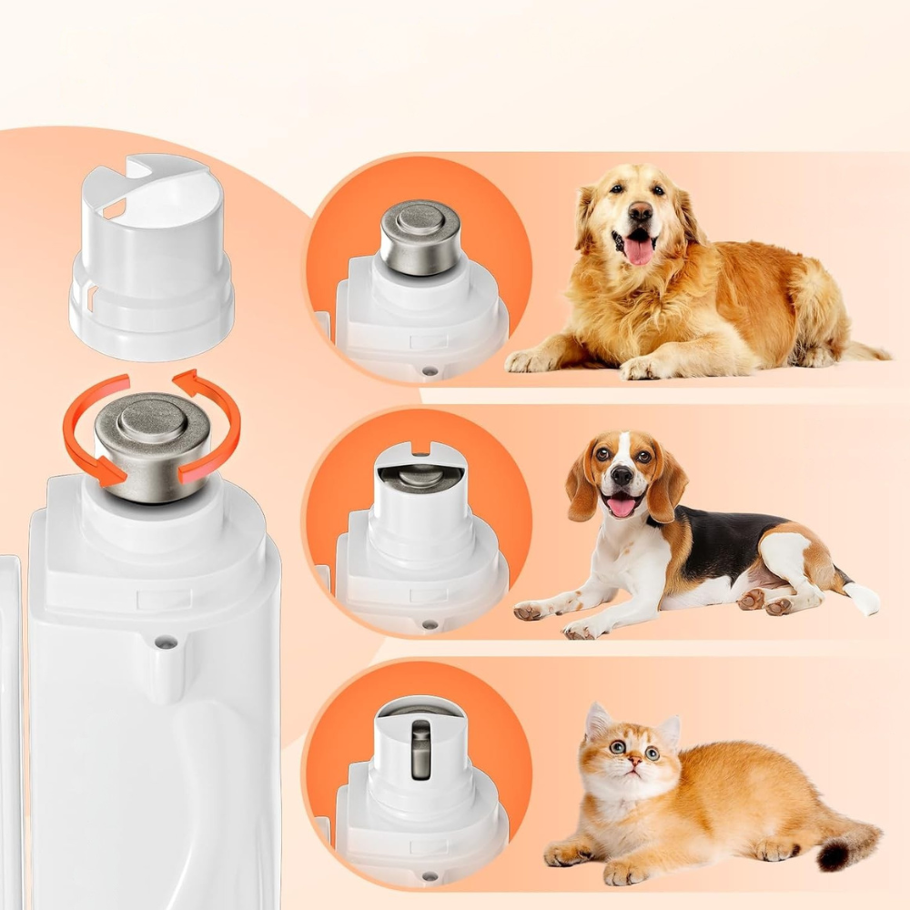 Coupe‑Griffes Lime Électrique pour Animaux 2‑en‑1 à LED | Sûr, Indolore