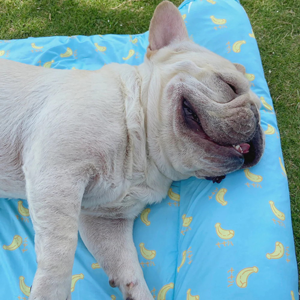 ChillPaws Lit Rafraîchissant pour Animaux | Confort Frais et Apaisant