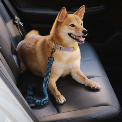 Ceinture de Sécurité Ajustable pour Chien | Voyage Sûr et Confortable