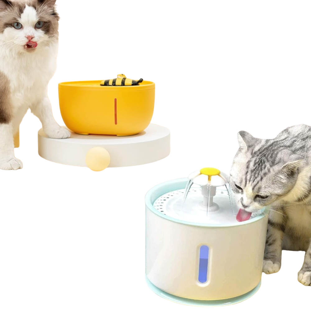 Fontaine à Eau pour Chat | Sûre, Silencieuse, Eau Filtrée