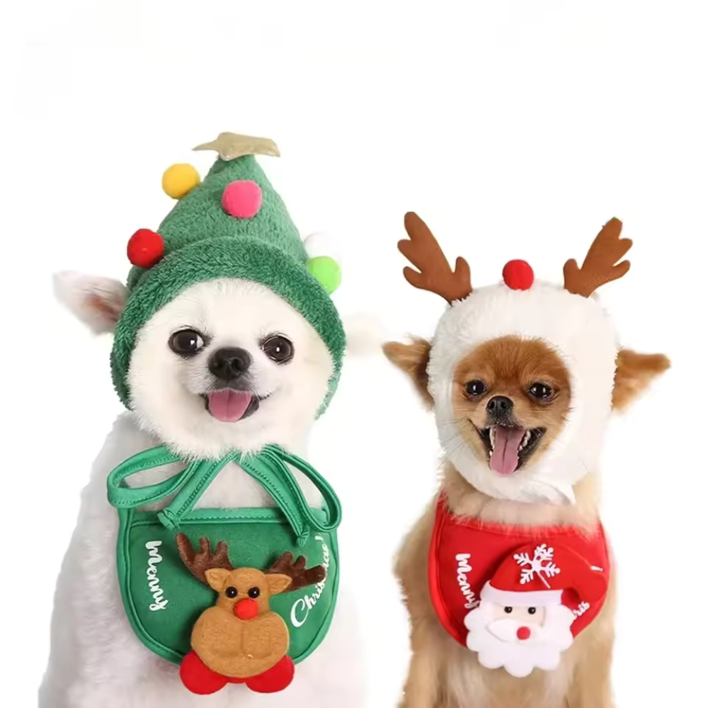 Chapeau et Bavoir Costume de Noël pour Animaux | Style Fête Adorable