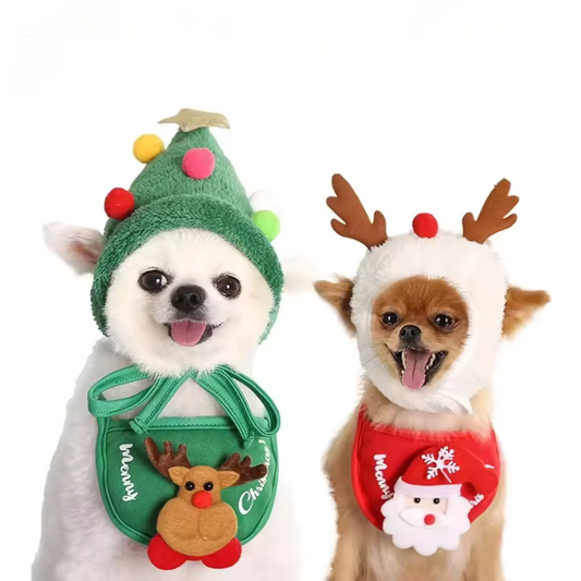 Chapeau et Bavoir Costume de Noël pour Animaux | Style Fête Adorable