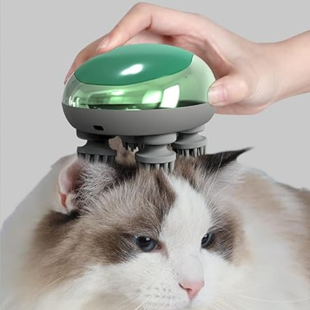 Masseur Électrique Portable Sans Fil pour Chat | Soin Doux, Relaxant