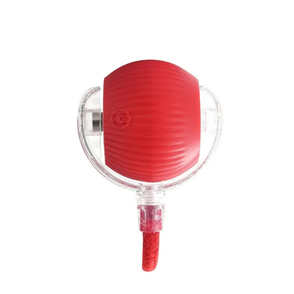 PetMotion Balle à Poursuivre | Jouet Rechargeable pour Chats et Chiens