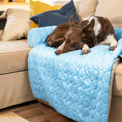 Tapis Rafraîchissant pour Chien | Protège-Canapé Lavable