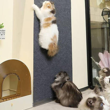 Tapis Anti-Griffes pour Chat Shield | Protège Meubles et Murs