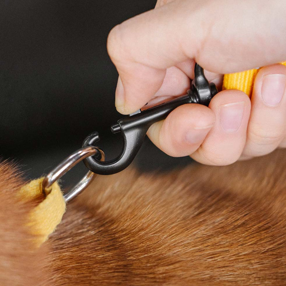 Ceinture de Sécurité Ajustable pour Chien | Voyage Sûr et Confortable