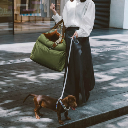 Siège Auto pour Animaux en Similicuir | Voyage Sûr et Élégant
