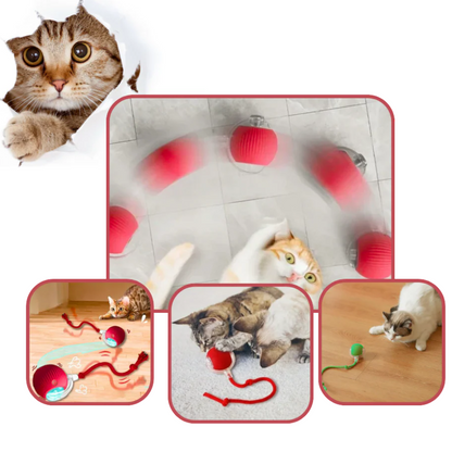 PetMotion Balle à Poursuivre | Jouet Rechargeable pour Chats et Chiens