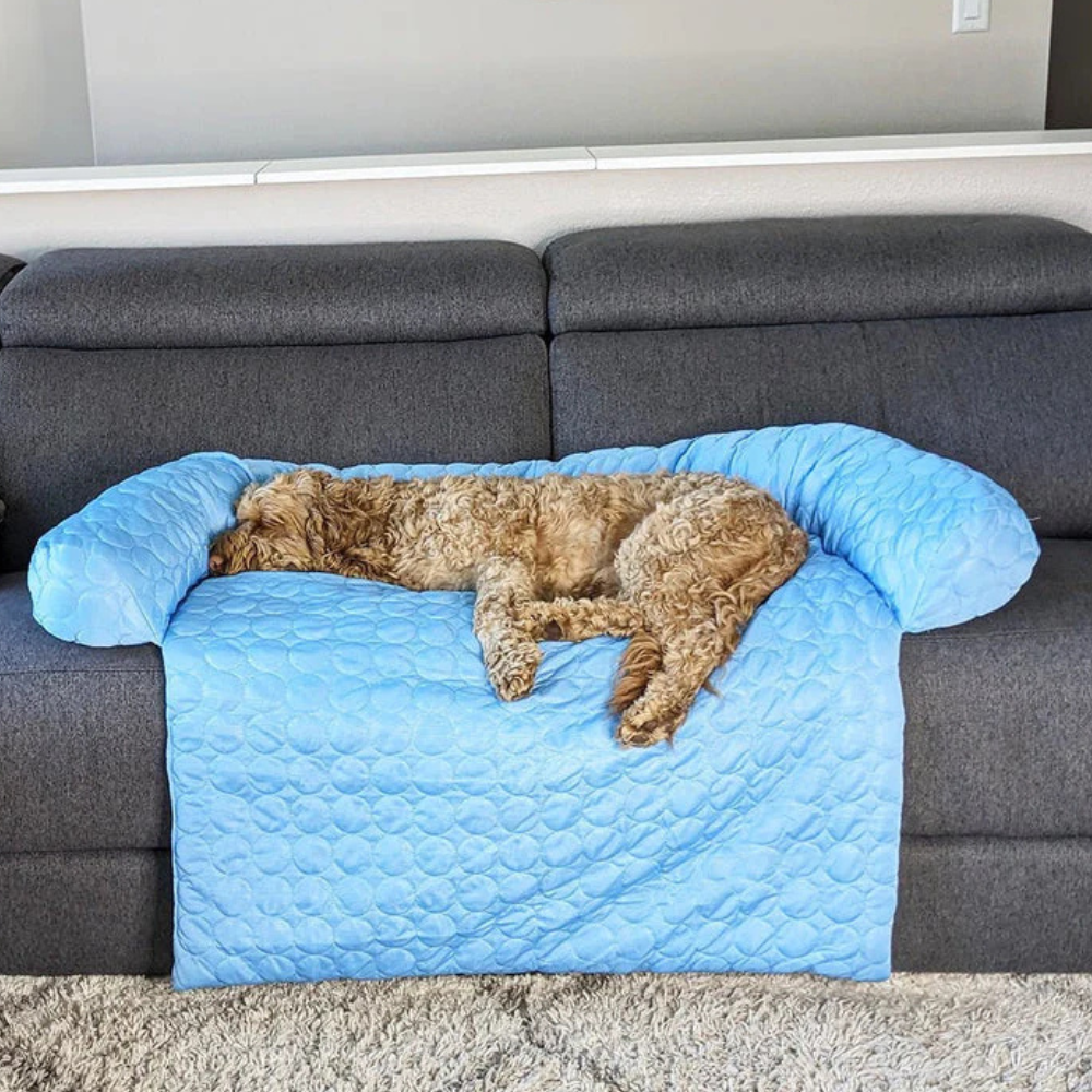 Tapis Rafraîchissant pour Chien | Protège-Canapé Lavable