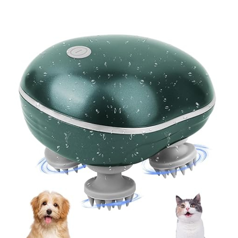 Masseur Électrique Portable Sans Fil pour Chat | Soin Doux, Relaxant