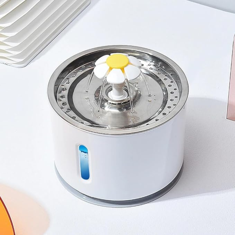 Fontaine à Eau pour Chat | Sûre, Silencieuse, Eau Filtrée