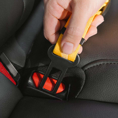 Ceinture de Sécurité Ajustable pour Chien | Voyage Sûr et Confortable