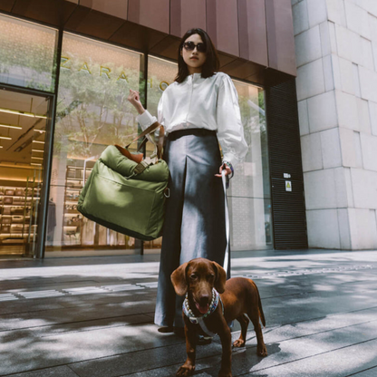 Siège Auto pour Animaux en Similicuir | Voyage Sûr et Élégant