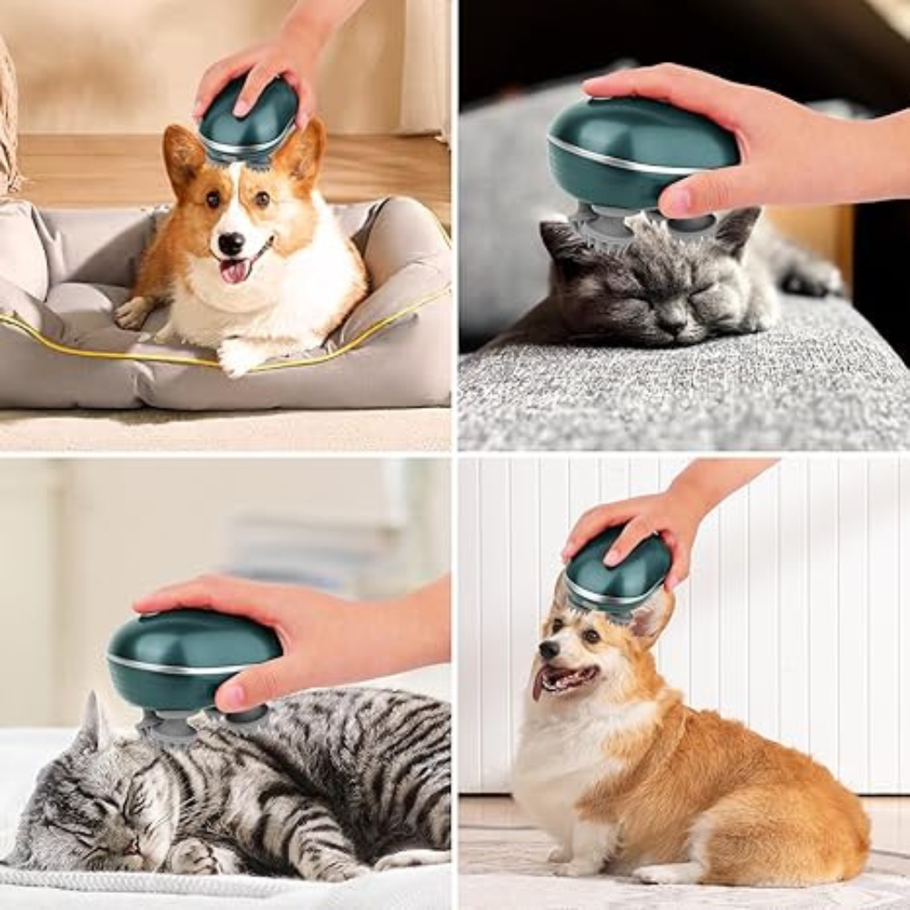 Masseur Électrique Portable Sans Fil pour Chat | Soin Doux, Relaxant