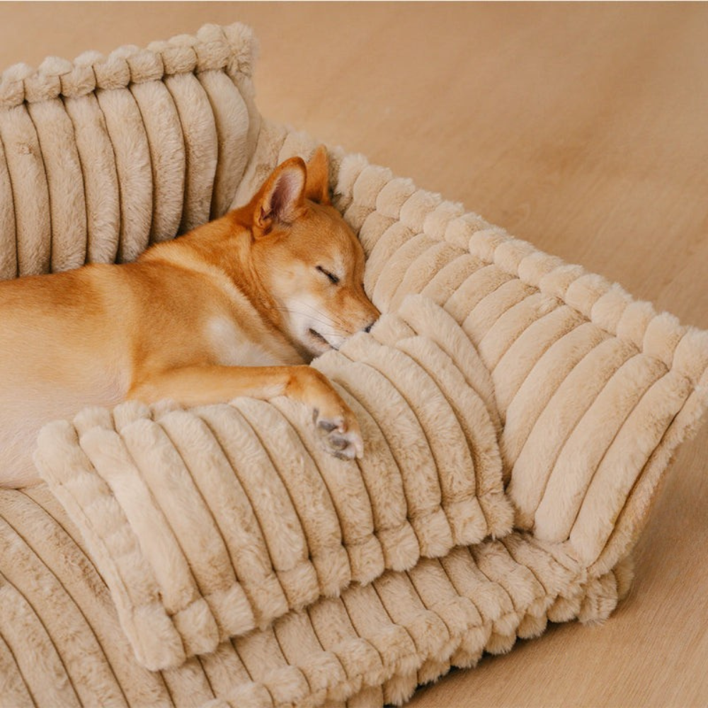 DreamPaws Lit Orthopédique pour Chien | Confort Doux et Lavable