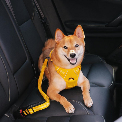 Ceinture de Sécurité Ajustable pour Chien | Voyage Sûr et Confortable