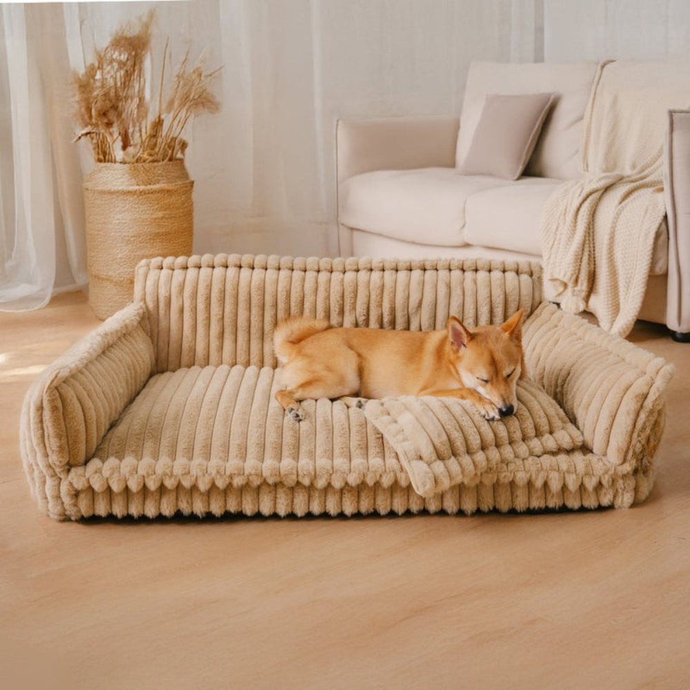 DreamPaws Lit Orthopédique pour Chien | Confort Doux et Lavable