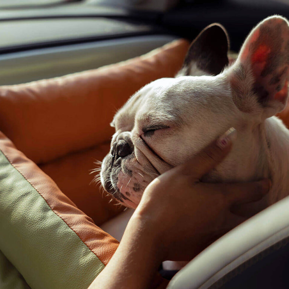 Siège Auto pour Animaux en Similicuir | Voyage Sûr et Élégant