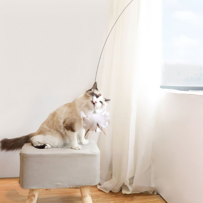 Canne Jouet Chat Oiseau Plume | Jeu Amusant Intérieur