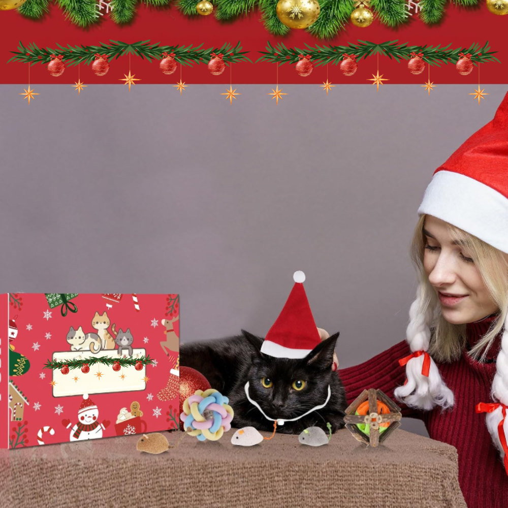 Coffret Cadeau de Noël pour Chat | Jouets Amusants, Accessoires Adorables