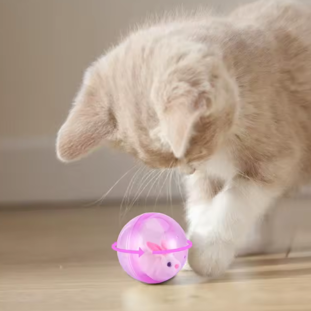 Lapin Blanc + Balle Rose