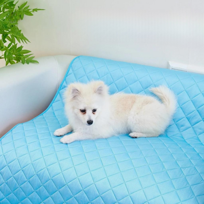 Tapis Rafraîchissant CoolPaws | Refroidissement Instantané et Portable