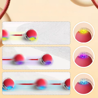 PetMotion Balle à Poursuivre | Jouet Rechargeable pour Chats et Chiens