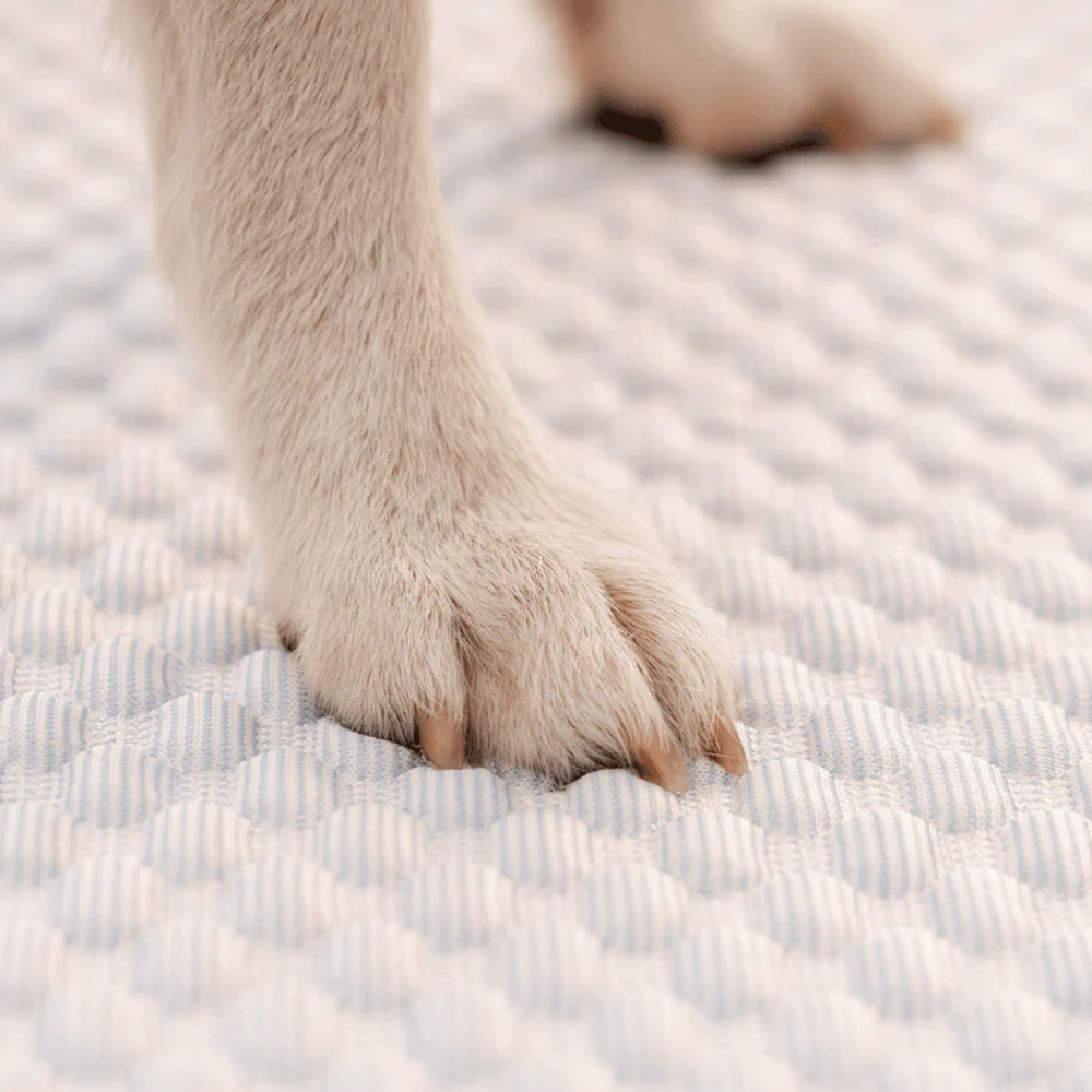 Housse de Canapé en Chenille | Housse de Meuble Douce avec Franges