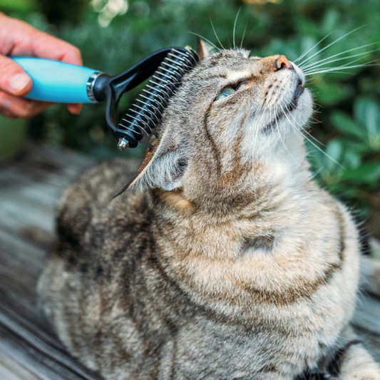 FurEase Peigne pour Animaux | 2‑en‑1 Démêlage et Toilettage