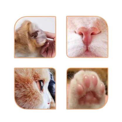 Cotons-Tiges de Nettoyage d’Oreilles pour Animaux | Soin Sûr et Efficace