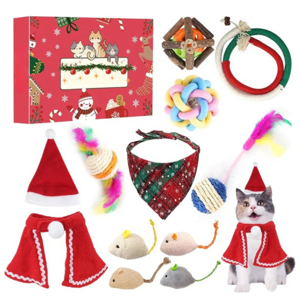 Coffret Cadeau de Noël pour Chat | Jouets Amusants, Accessoires Adorables
