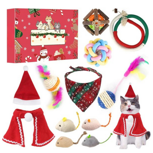 Coffret Cadeau de Noël pour Chat | Jouets Amusants, Accessoires Adorables