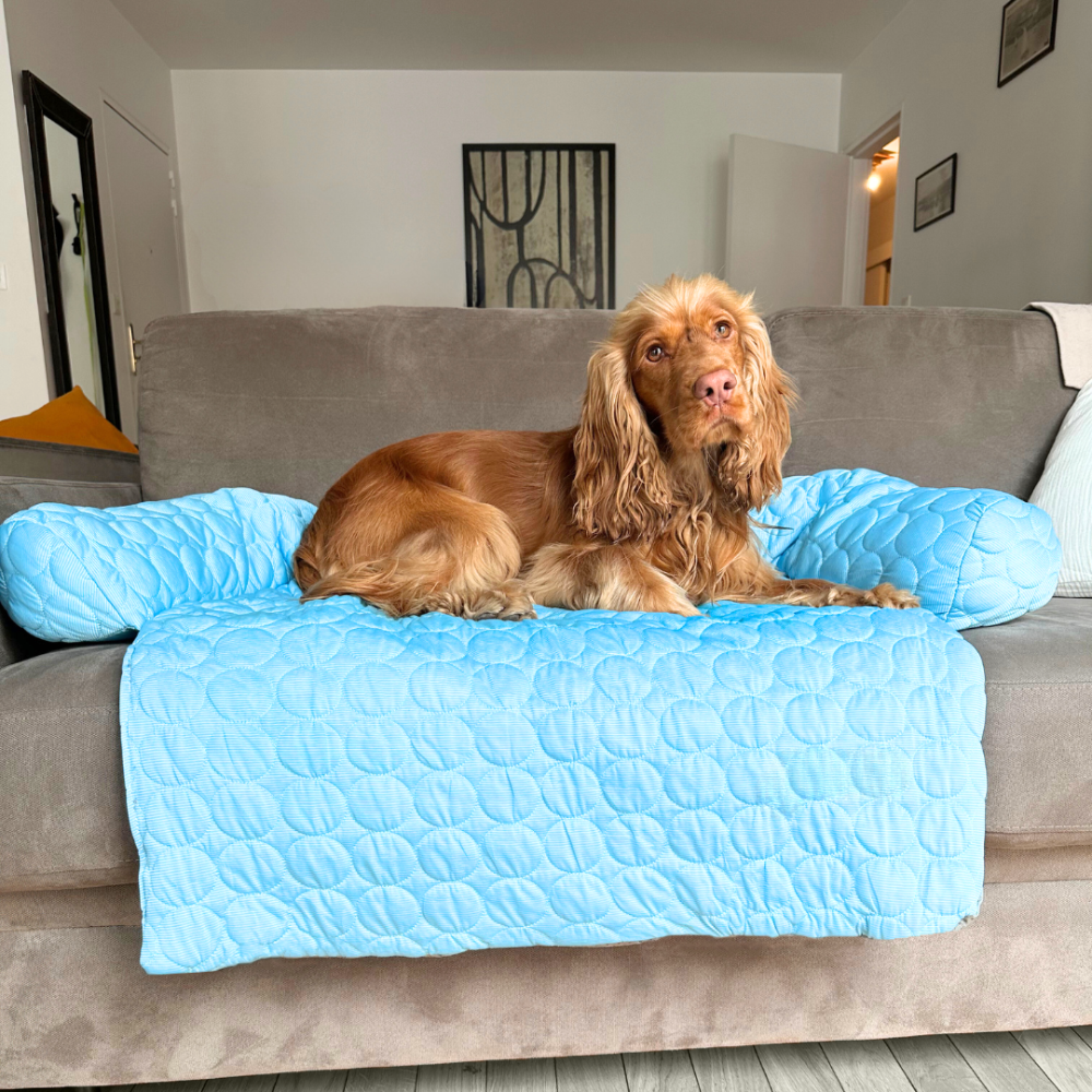 Tapis Rafraîchissant pour Chien | Protège-Canapé Lavable
