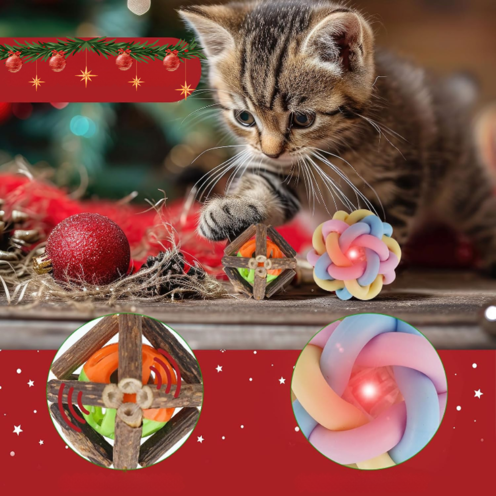 Coffret Cadeau de Noël pour Chat | Jouets Amusants, Accessoires Adorables