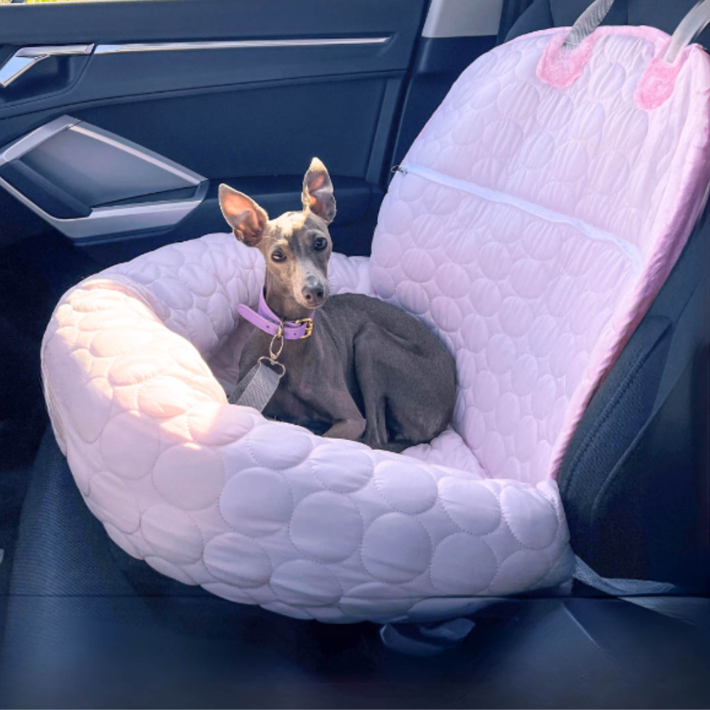 ChillPaws Lit Rafraîchissant | Garde les Animaux au Frais et Confortables