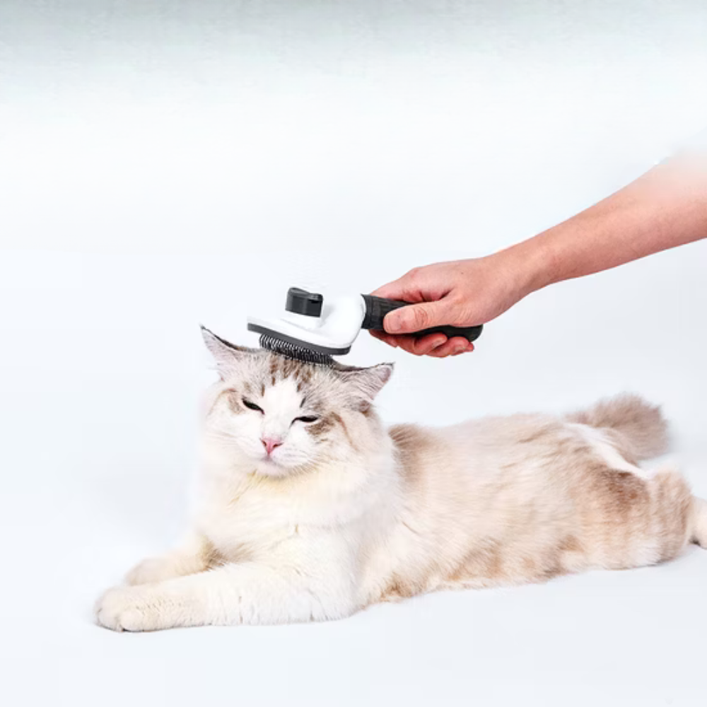 FurEase Brosse de Toilettage | Démêlante Auto-Nettoyante Chiens et Chats