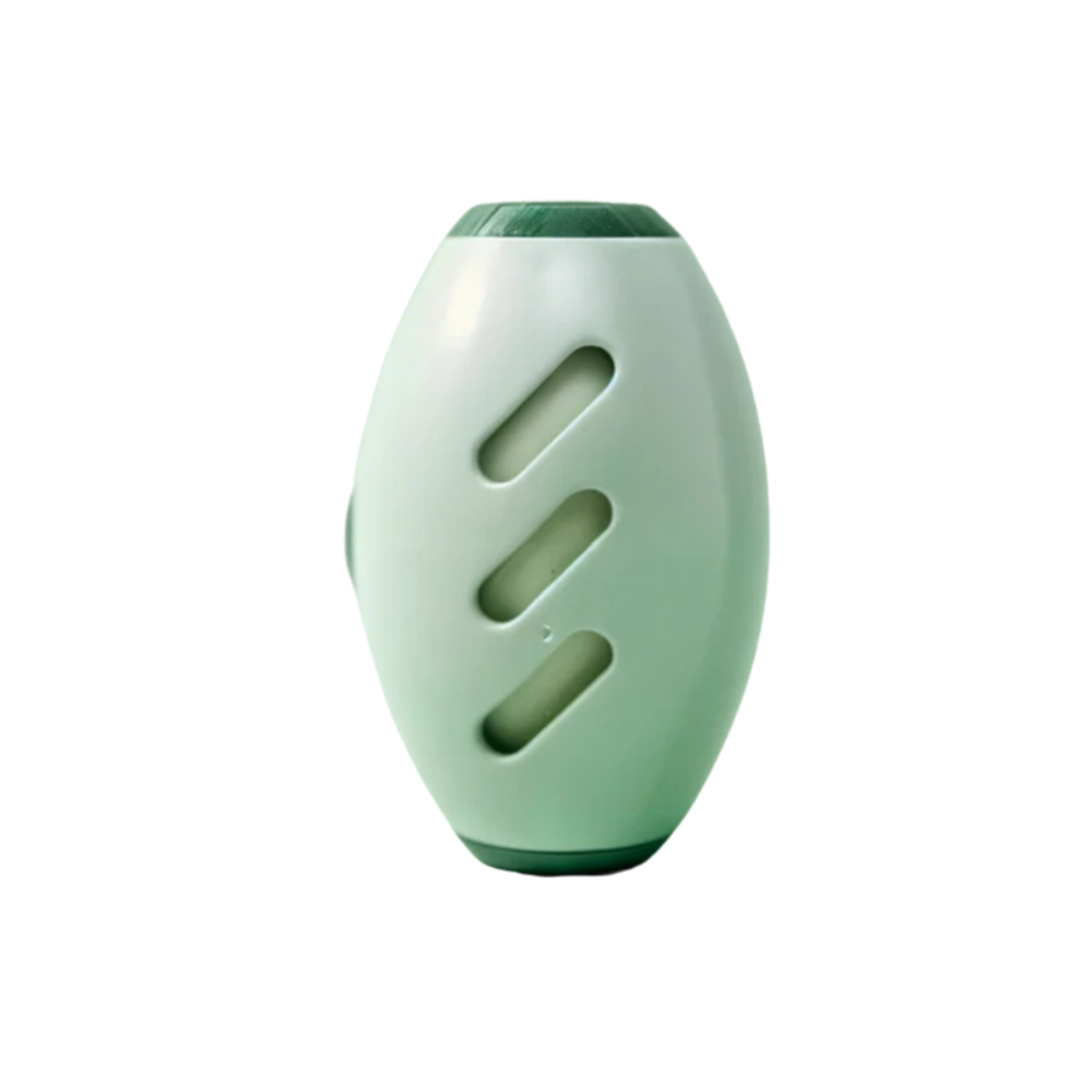 Brosse Anti-Poils Animaux Réutilisable – Poils de Chat et Chien, Vêtements et Canapés
