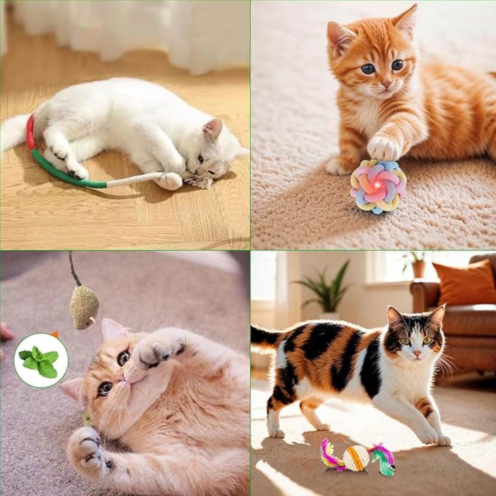 Coffret Cadeau de Noël pour Chat | Jouets Amusants, Accessoires Adorables