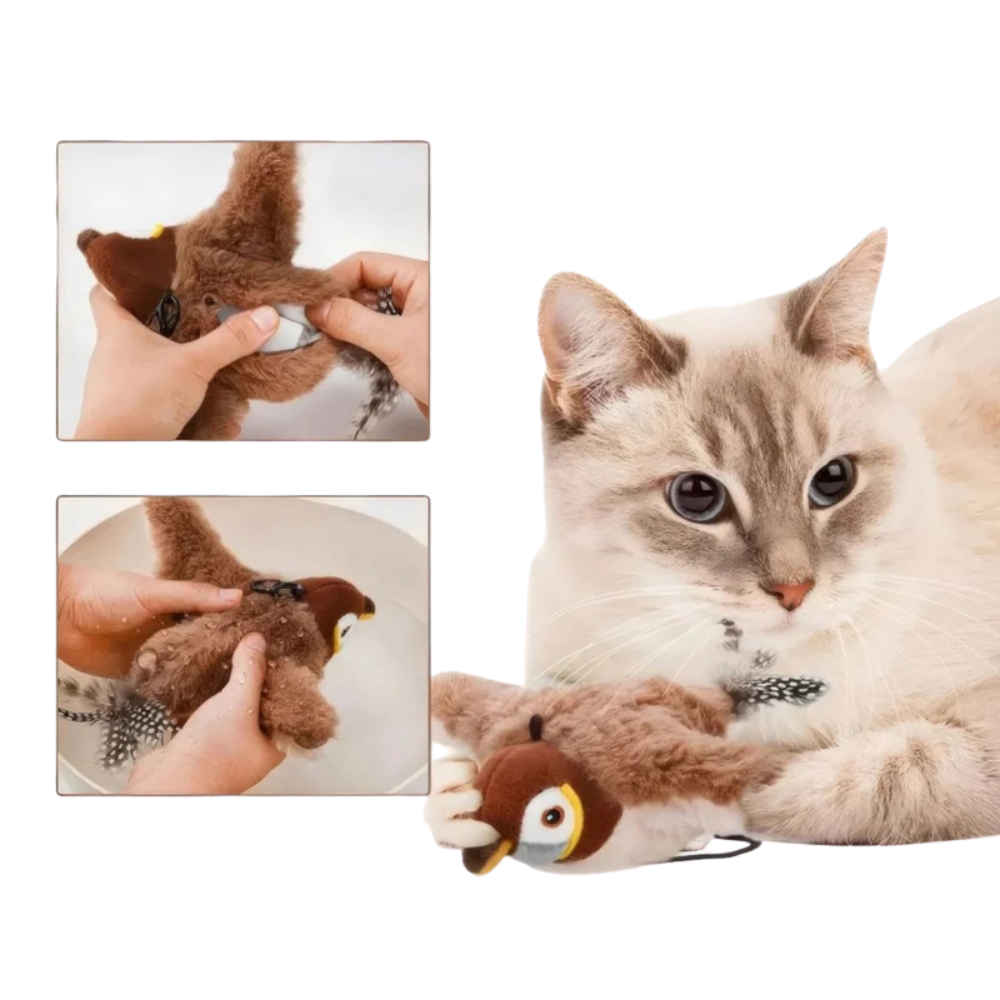 PurrPlay Jouet Interactif pour Chat | Exercice Ludique pour Animaux