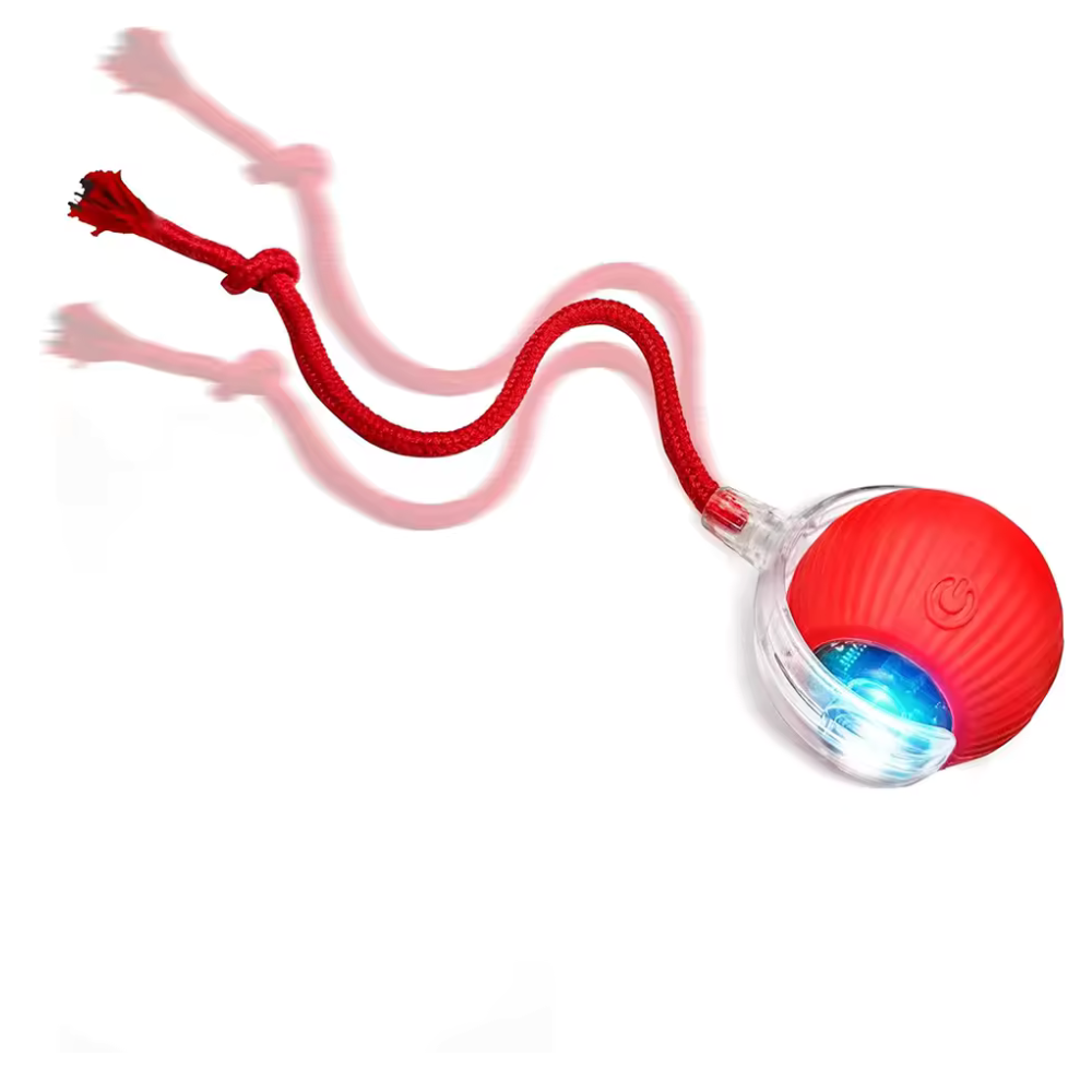 PetMotion Balle à Poursuivre | Jouet Rechargeable pour Chats et Chiens