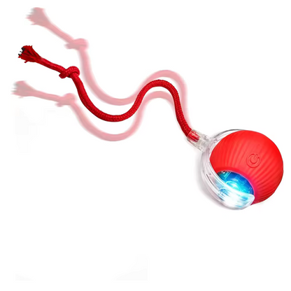 PetMotion Balle à Poursuivre | Jouet Rechargeable pour Chats et Chiens