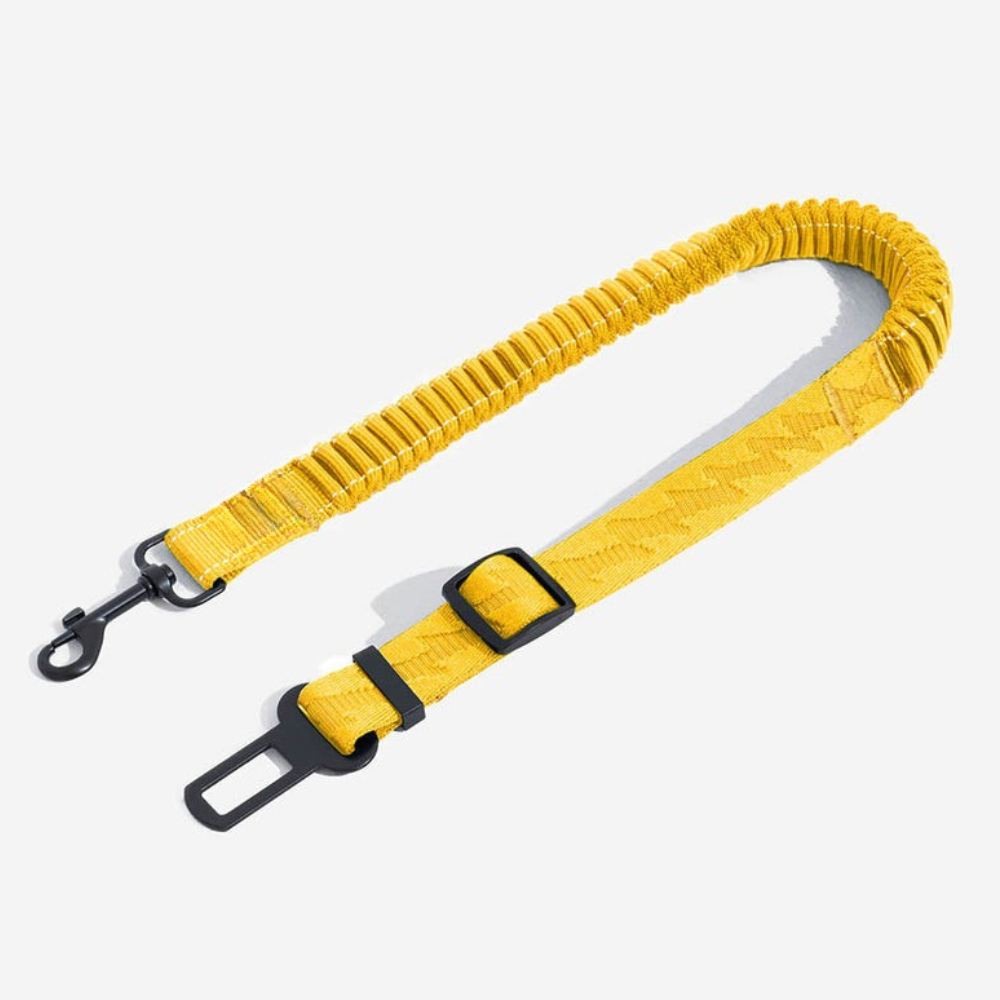 Ceinture de Sécurité Ajustable pour Chien | Voyage Sûr et Confortable