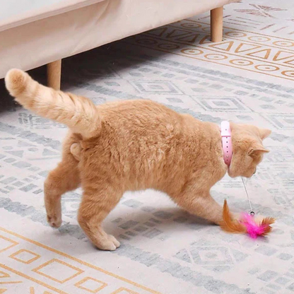 Jouet à Plumes pour Chat sur Collier | Jeu Sûr et Amusant