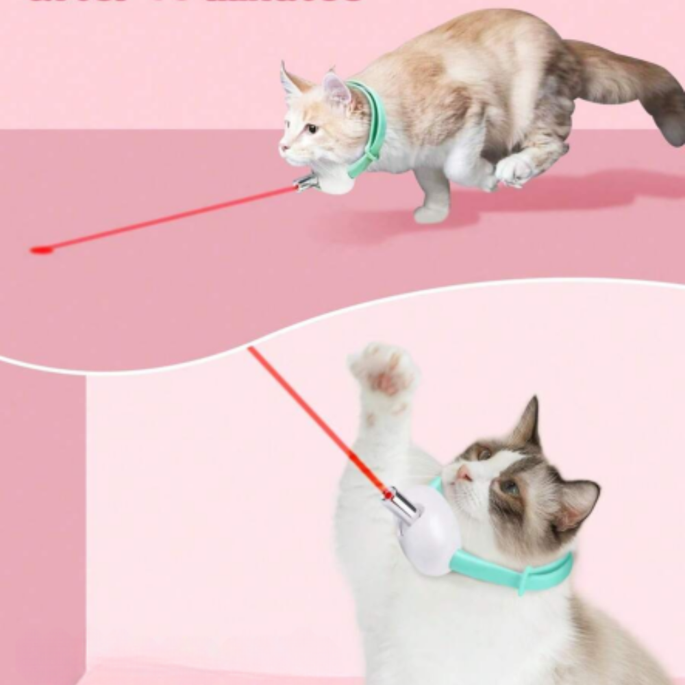 Collier Laser Rechargeable pour Chat | Amusant, Réglable et Jeu sûr