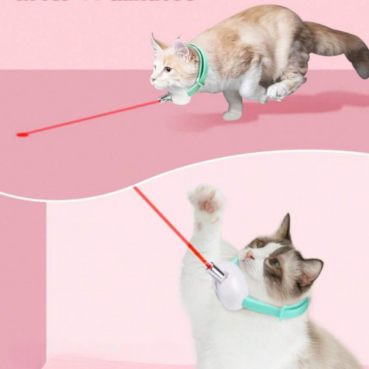 Collier Laser Rechargeable pour Chat | Amusant, Réglable et Jeu sûr