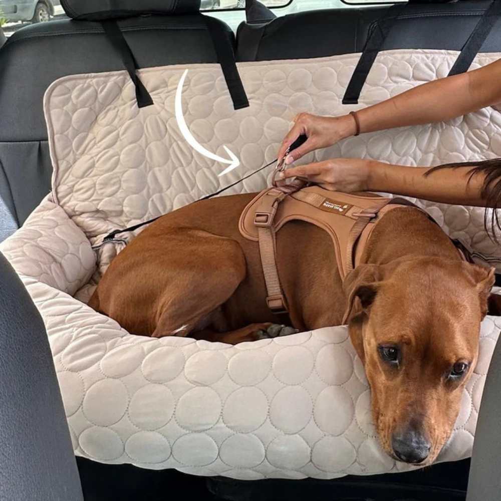 ChillPaws Lit Rafraîchissant | Garde les Animaux au Frais et Confortables