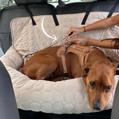 ChillPaws Lit Rafraîchissant | Garde les Animaux au Frais et Confortables