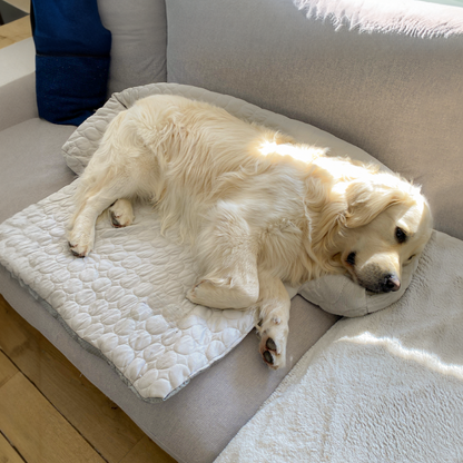 Tapis Rafraîchissant pour Chien | Protège-Canapé Lavable