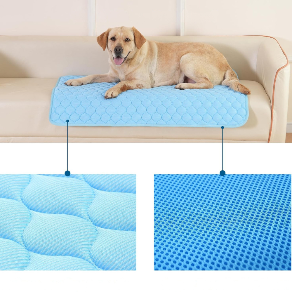 Tapis Rafraîchissant CoolPaws | Refroidissement Instantané et Portable